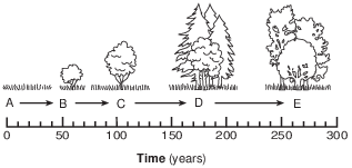 ecology, succession, change of ecosystems over time fig: lenv12014-examw_g2.png